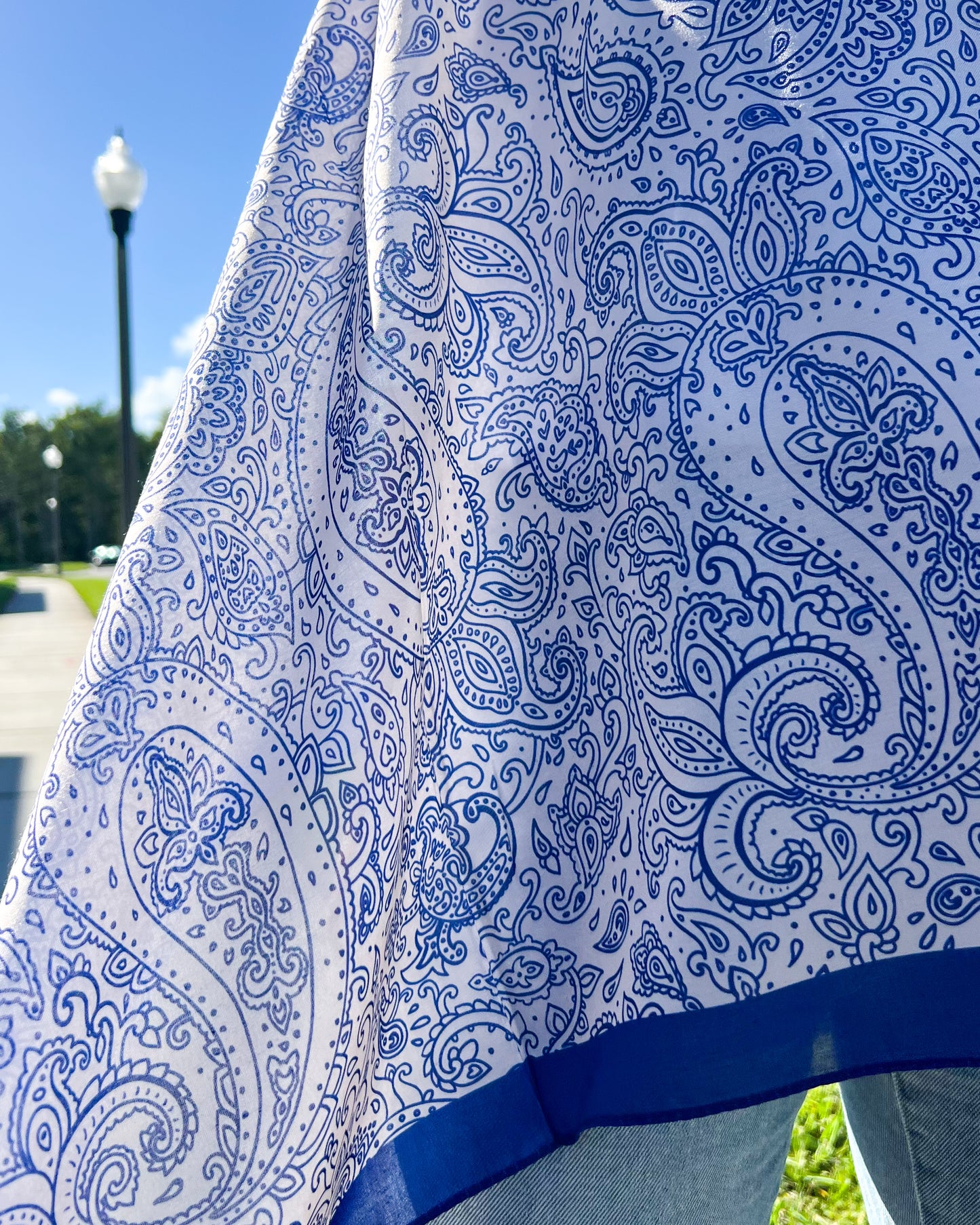 Paisly Wrap, Silky Shawl, Artisan Shawl